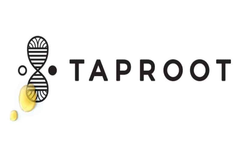 “Soul D’licious Infused” Episode #4 – Taproot Holdings