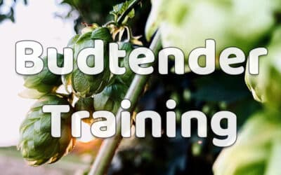 Great Basin Vape Budtender Training Video Now Available