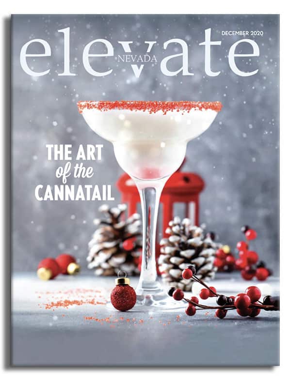 Elevate Nevada Magazine December 2020 Issue