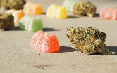 Can You Get in Trouble for Edibles in Nevada?