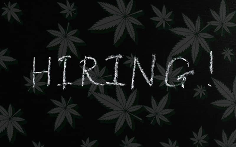 Ativa Talent - jobs in the cannabis industry